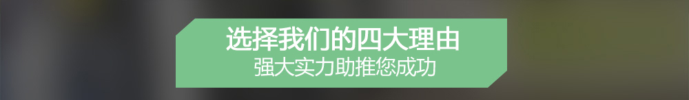 段码屏订做选择杭州精显